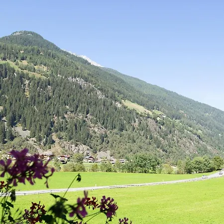 Peter ゲストハウス