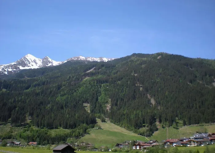 Peter 施图拜河谷新施蒂夫特